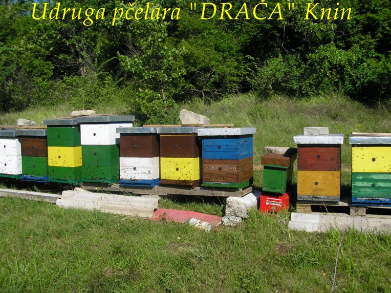 UP_Draca_Knin (5)
